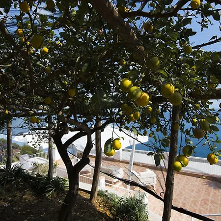 Orleans Гостевой дом