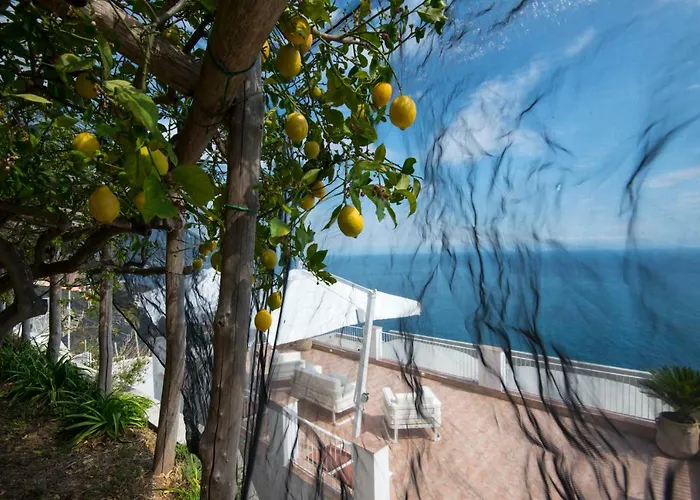 Orleans Amalfi