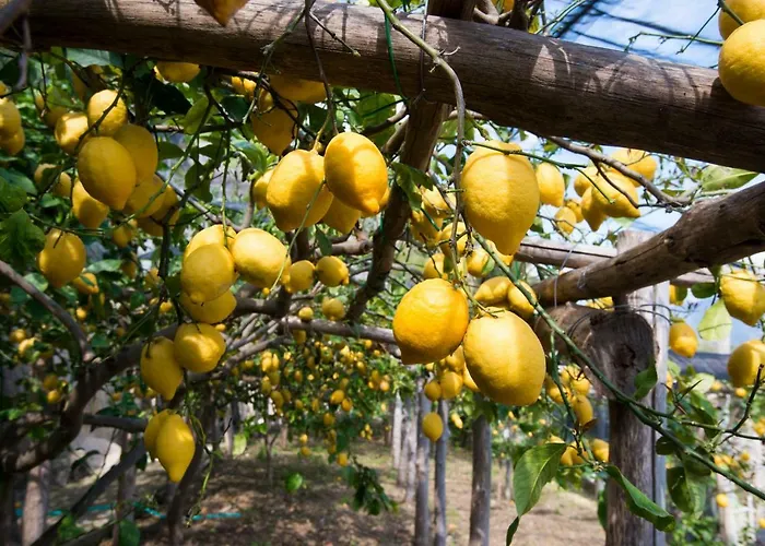 Vendégház Orleans 4*